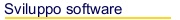 Sviluppo Software